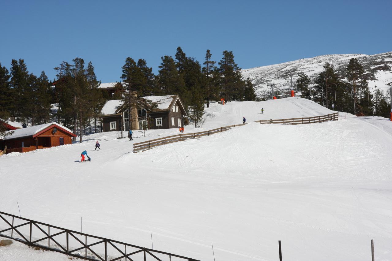 Lemonsjo Fjellstue Og Hyttegrend Randsverk Bagian luar foto