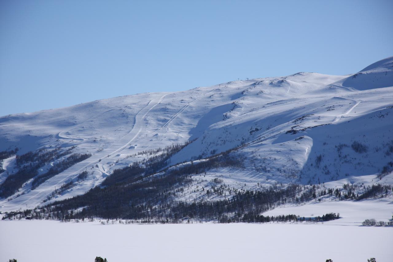 Lemonsjo Fjellstue Og Hyttegrend Randsverk Bagian luar foto