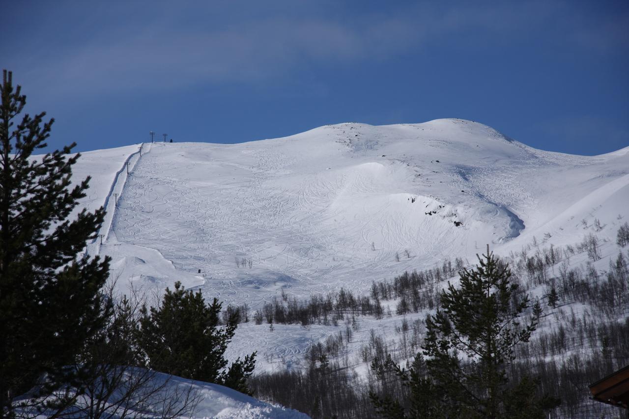 Lemonsjo Fjellstue Og Hyttegrend Randsverk Bagian luar foto