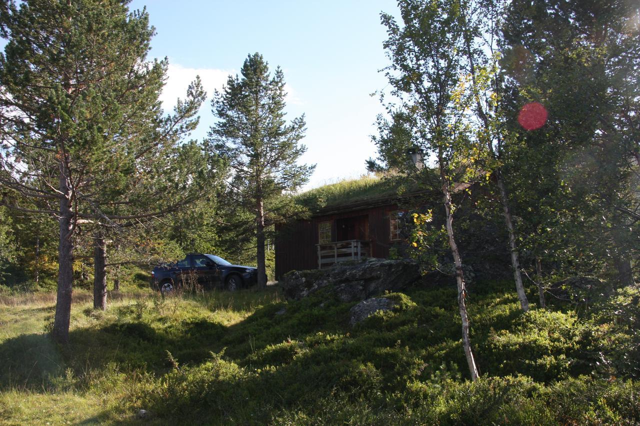 Lemonsjo Fjellstue Og Hyttegrend Randsverk Bagian luar foto