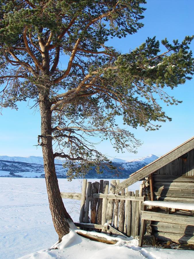 Lemonsjo Fjellstue Og Hyttegrend Randsverk Bagian luar foto